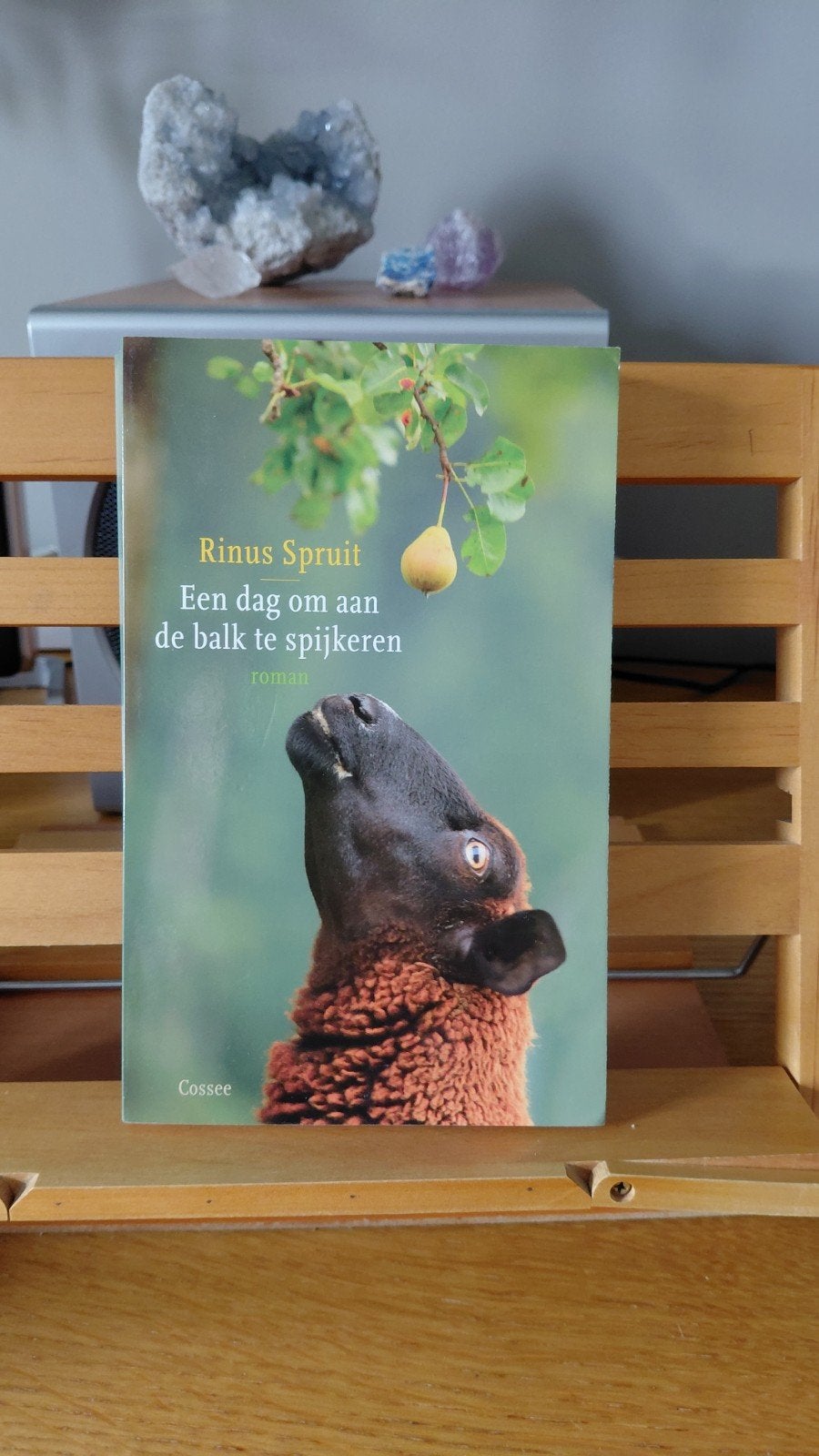 Rinus Spruit - Een dag om aan de balk te spijkeren, Ophalen of Verzenden, Zo goed als nieuw, Rinus Spruit, Nederland