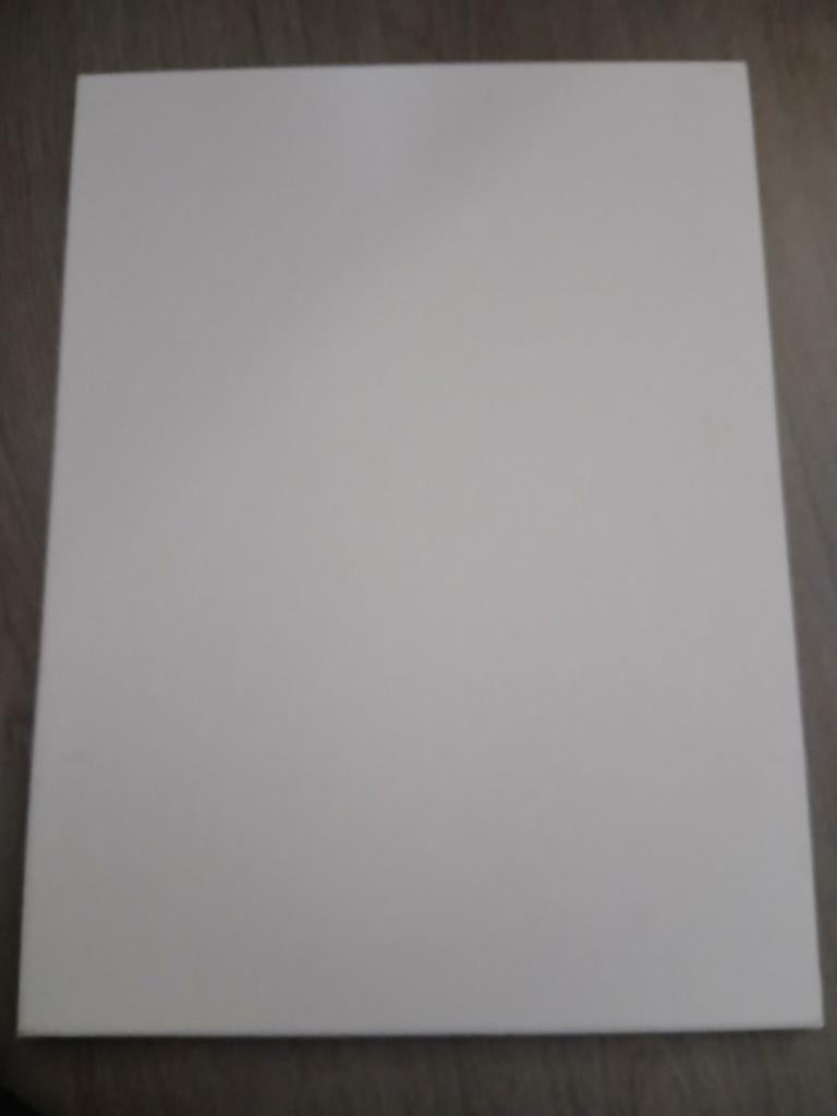 Schildersdoek 40x50 cm, Ophalen of Verzenden, Nieuw, Doek
