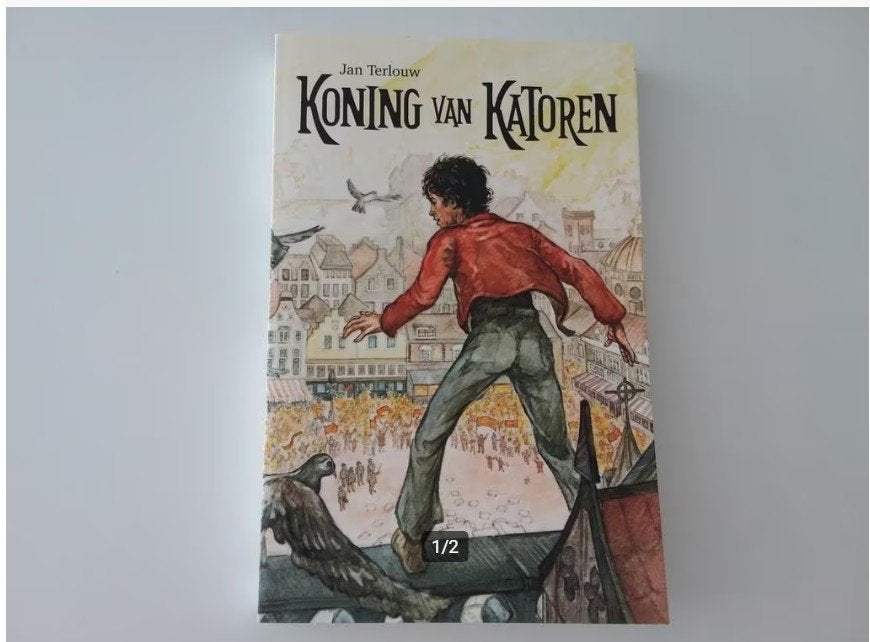 Jan Terlouw - Koning van Katoren, Boeken, Ophalen of Verzenden, Zo goed als nieuw
