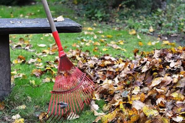 Betaalbare Tuinhulp & Klusjesman in Hoogeveen (€20 p/u), Ophalen, Zo goed als nieuw