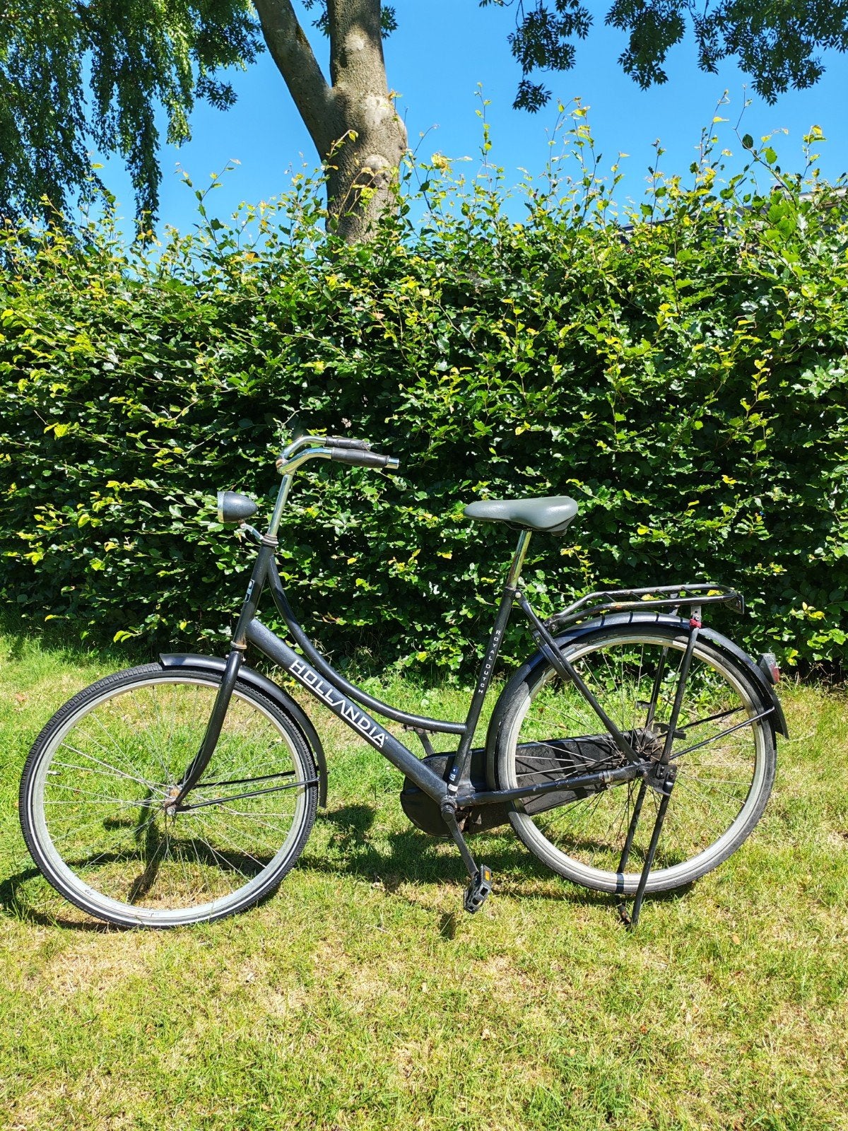 Hollandia Damesfiets - werkt nog goed, Fietsen en Brommers, Terugtraprem, Ophalen, Overige merken, 53 tot 56 cm