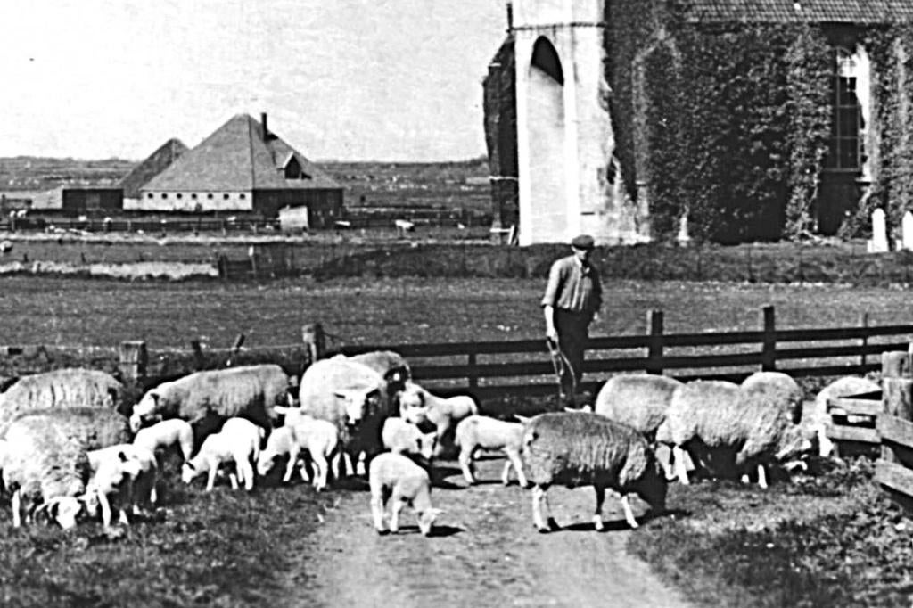983543	Texel	Ned Herv Kerk	Den Hoorn	1958	Postzegel Afgewee, Ophalen of Verzenden, 1940 tot 1960, Gelopen, Waddeneilanden