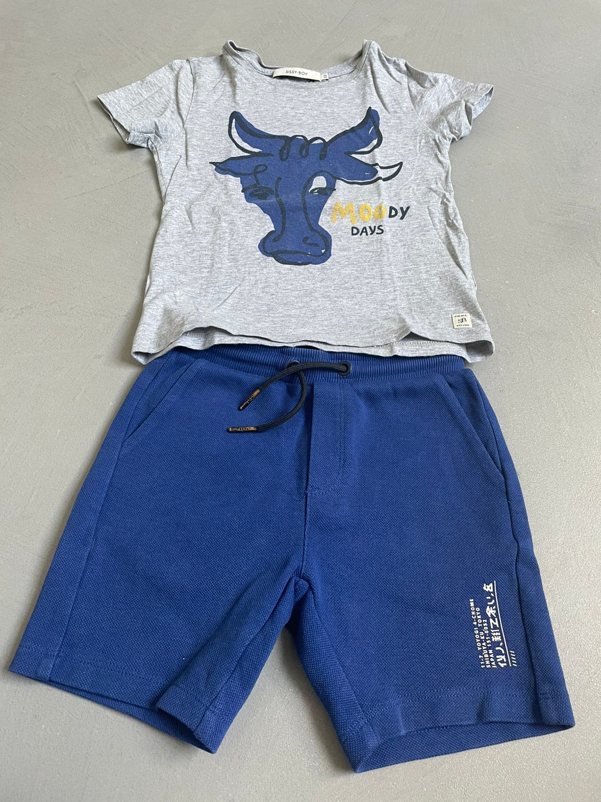 Zomerset t-shirts sissy boy broek JM 110/116, Kinderen en Baby's, Kinderkleding | Maat 110, Ophalen of Verzenden, Zo goed als nieuw