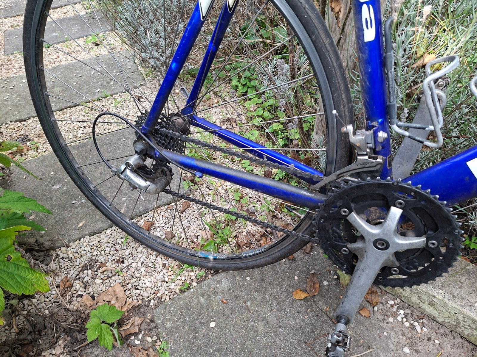 Koga Miyata racefiets - Gran Racer, Ophalen, Gebruikt, Staal, 57 tot 61 cm