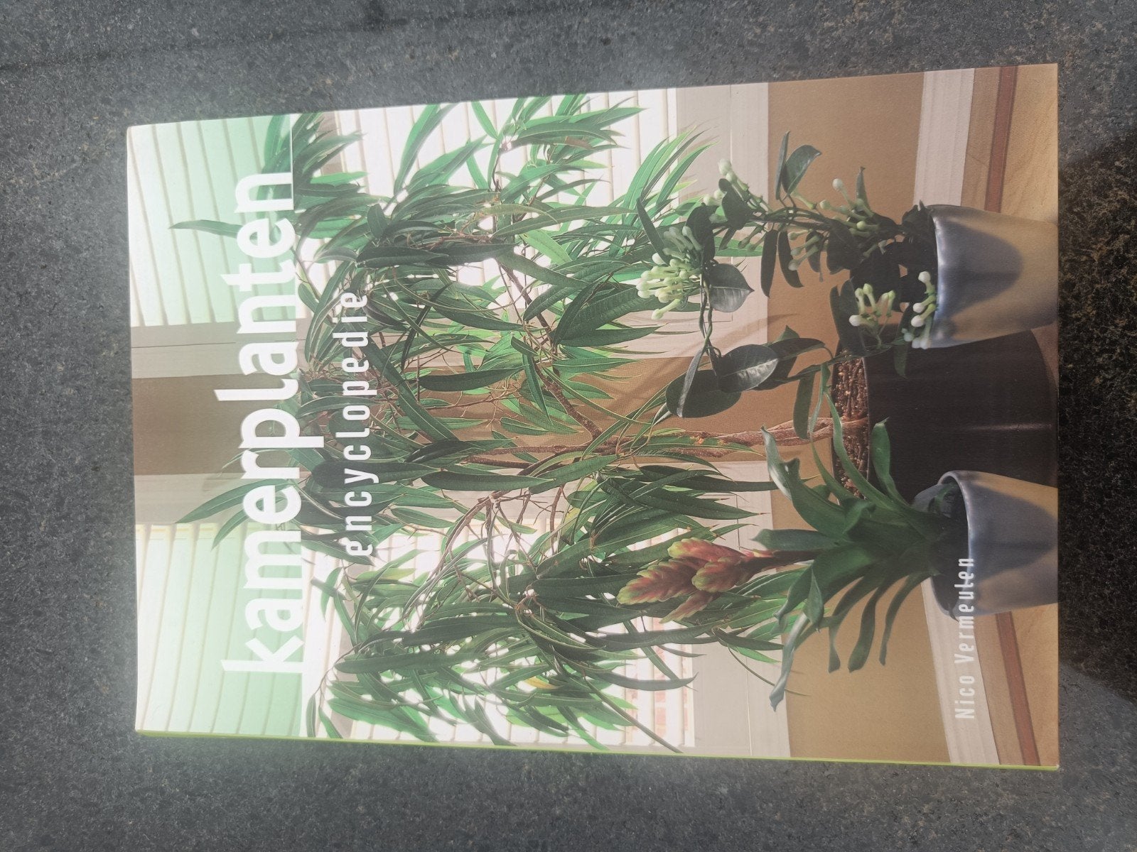 Kamerplanten encyclopedie Nico Vermeulen NIEUW, Ophalen of Verzenden, Zo goed als nieuw, Nico Vermeulen, Kamerplanten