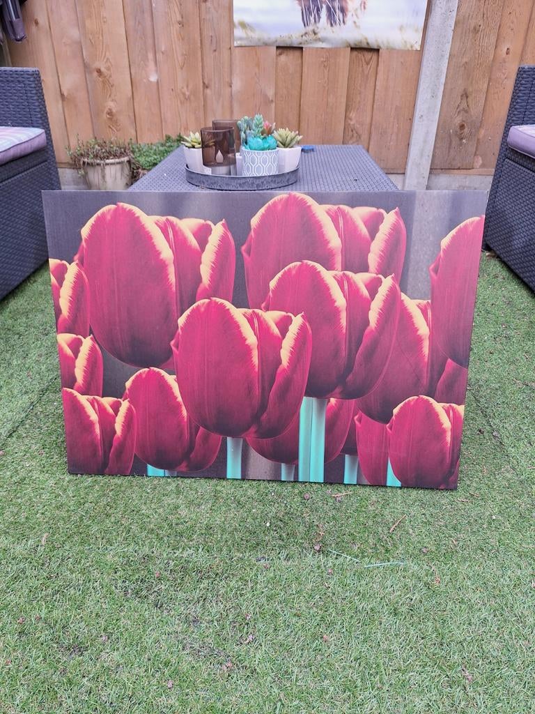 2x Canvas Schilderij Tulpen 70x50 cm, Ophalen, Gebruikt, 50 tot 75 cm, Schilderij