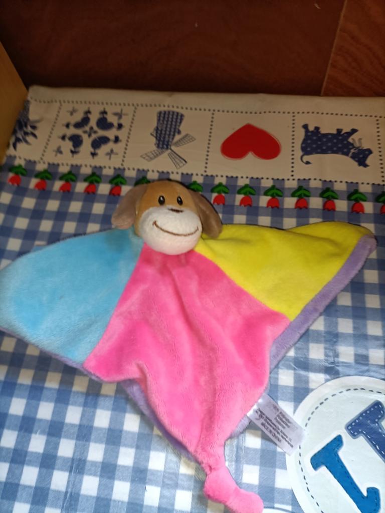 Zeeman hond knuffeldoekje met allerlei kleuren, Ophalen of Verzenden, Zo goed als nieuw, Hond