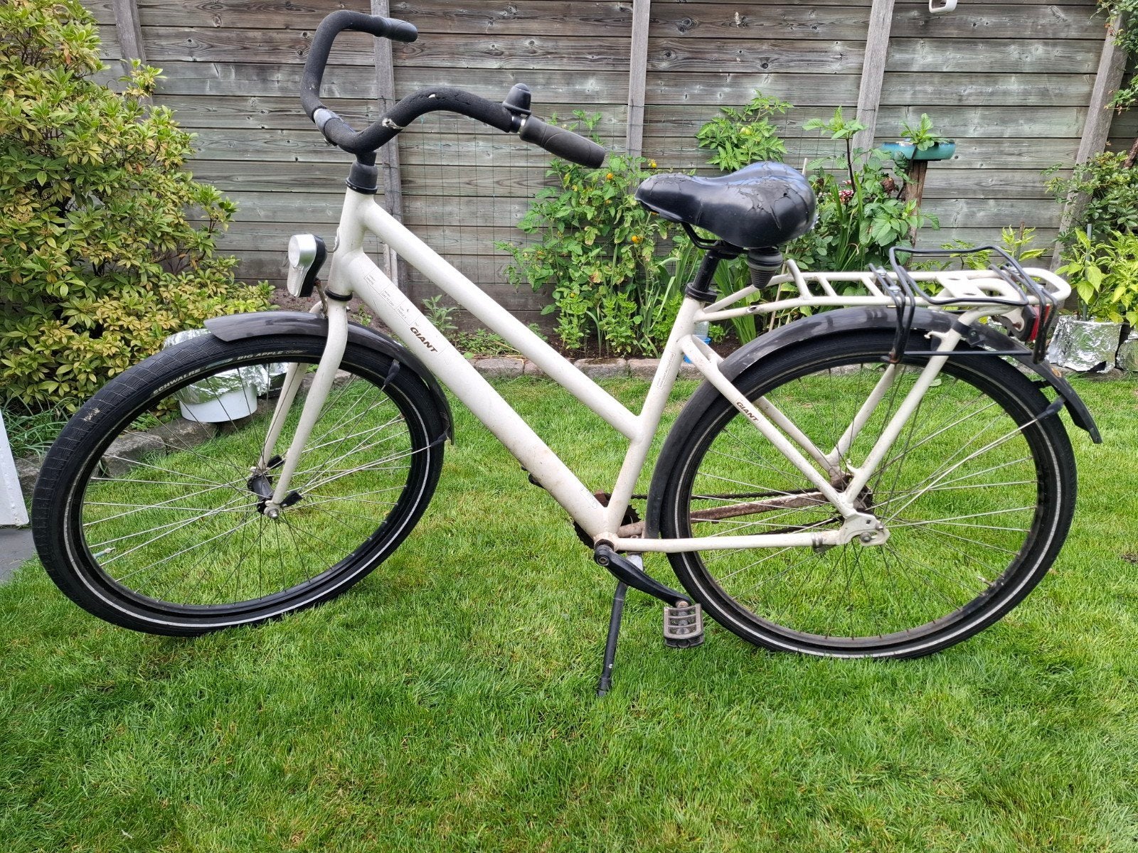Giant damesfiets - Comfortabel en betrouwbaar, Ophalen, Terugtraprem, Giant, 50 tot 53 cm