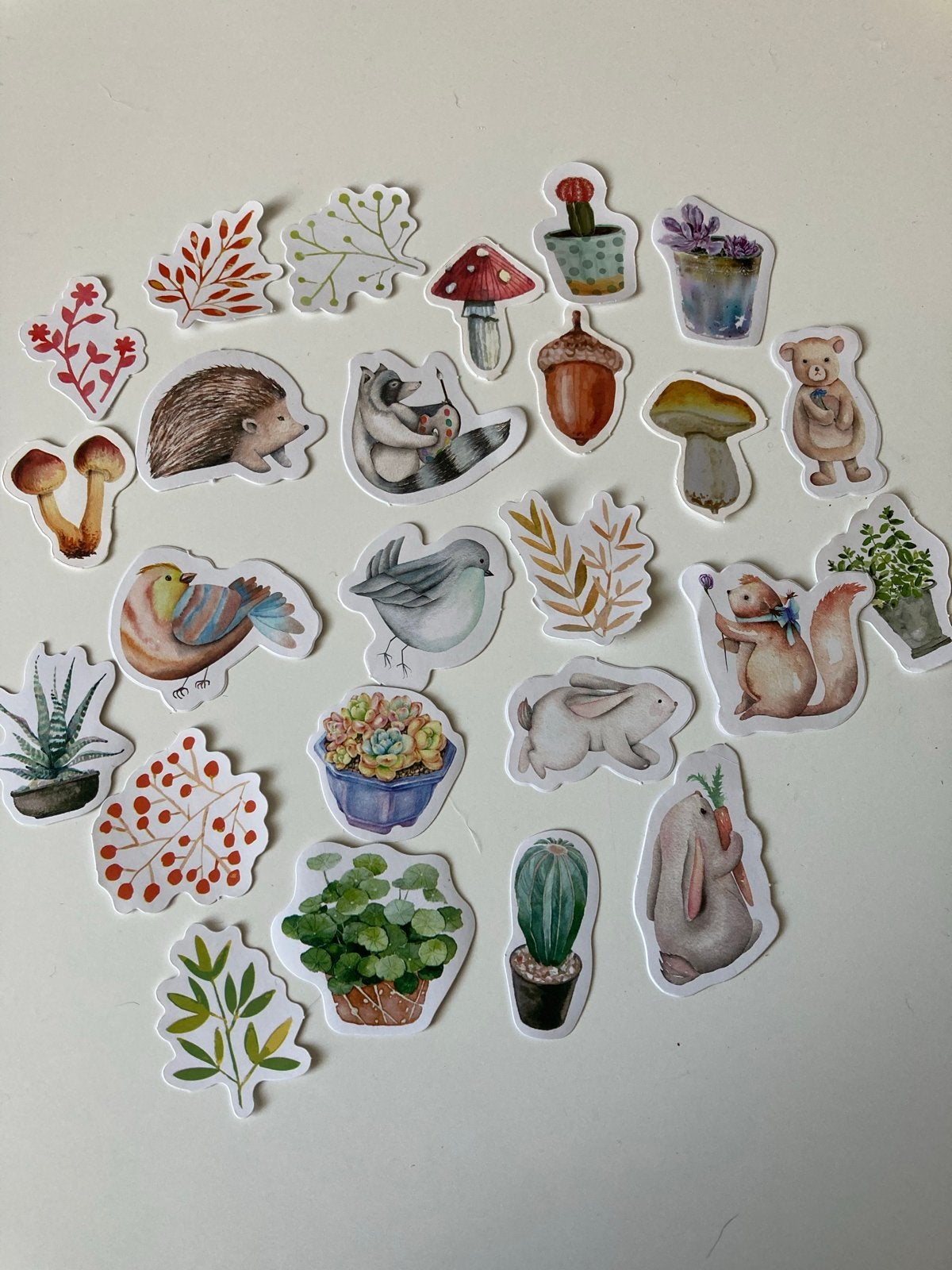 Leuke Dieren, Planten, Herfst Stickers Set, Ophalen of Verzenden, Nieuw, Meerdere stickers