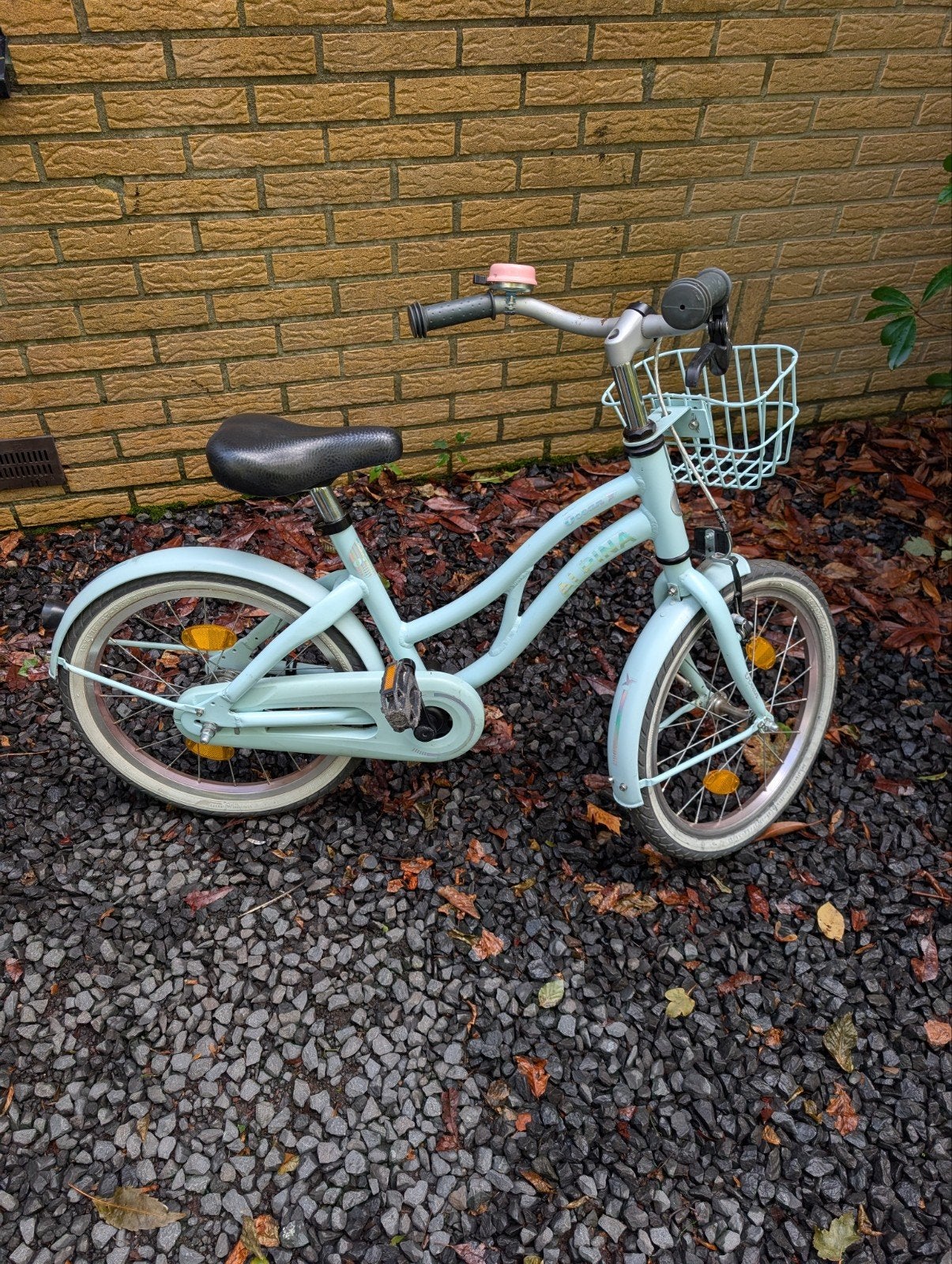 Alpina Ocean 18 inch inclusief zijwieltjes, Ophalen, Terugtraprem, Gebruikt, Handrem