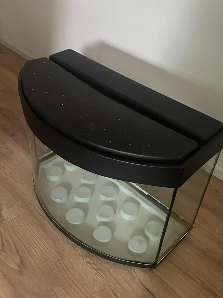 Groot glazen hamsterhok te koop, Minder dan 75 cm, Zo goed als nieuw, Muis, Hok