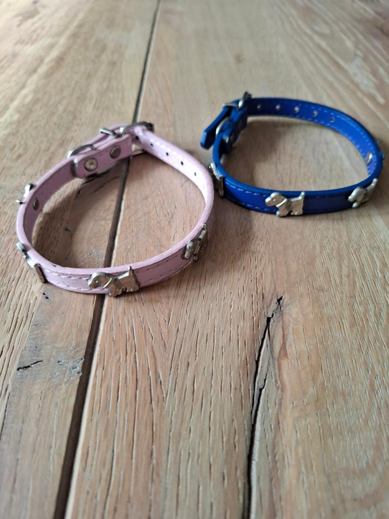 2 honden halsbandjes, Ophalen of Verzenden, Nieuw