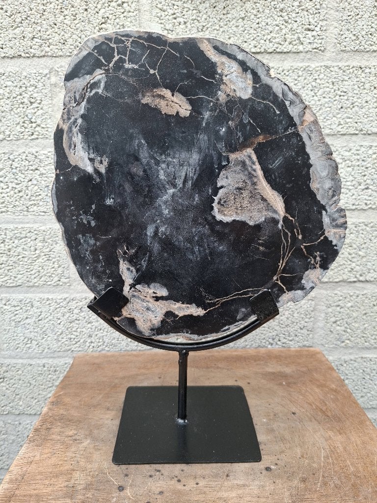 Versteend hout op standaard no A, Ophalen of Verzenden, Mineraal