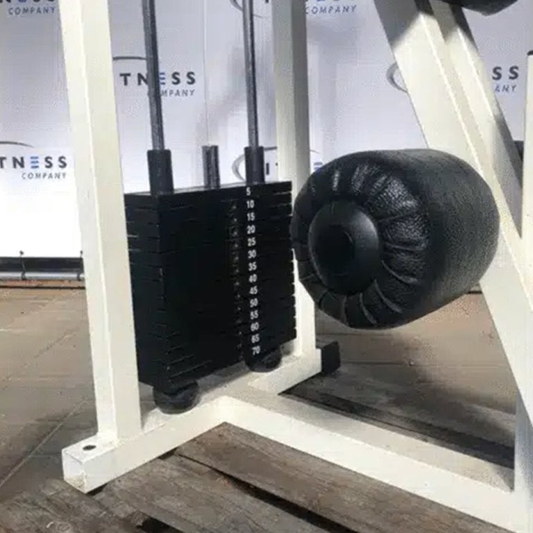 Technogym – Isotonic – Abdominal, Sport en Fitness, Ophalen of Verzenden, Gebruikt, Rug, Overige typen
