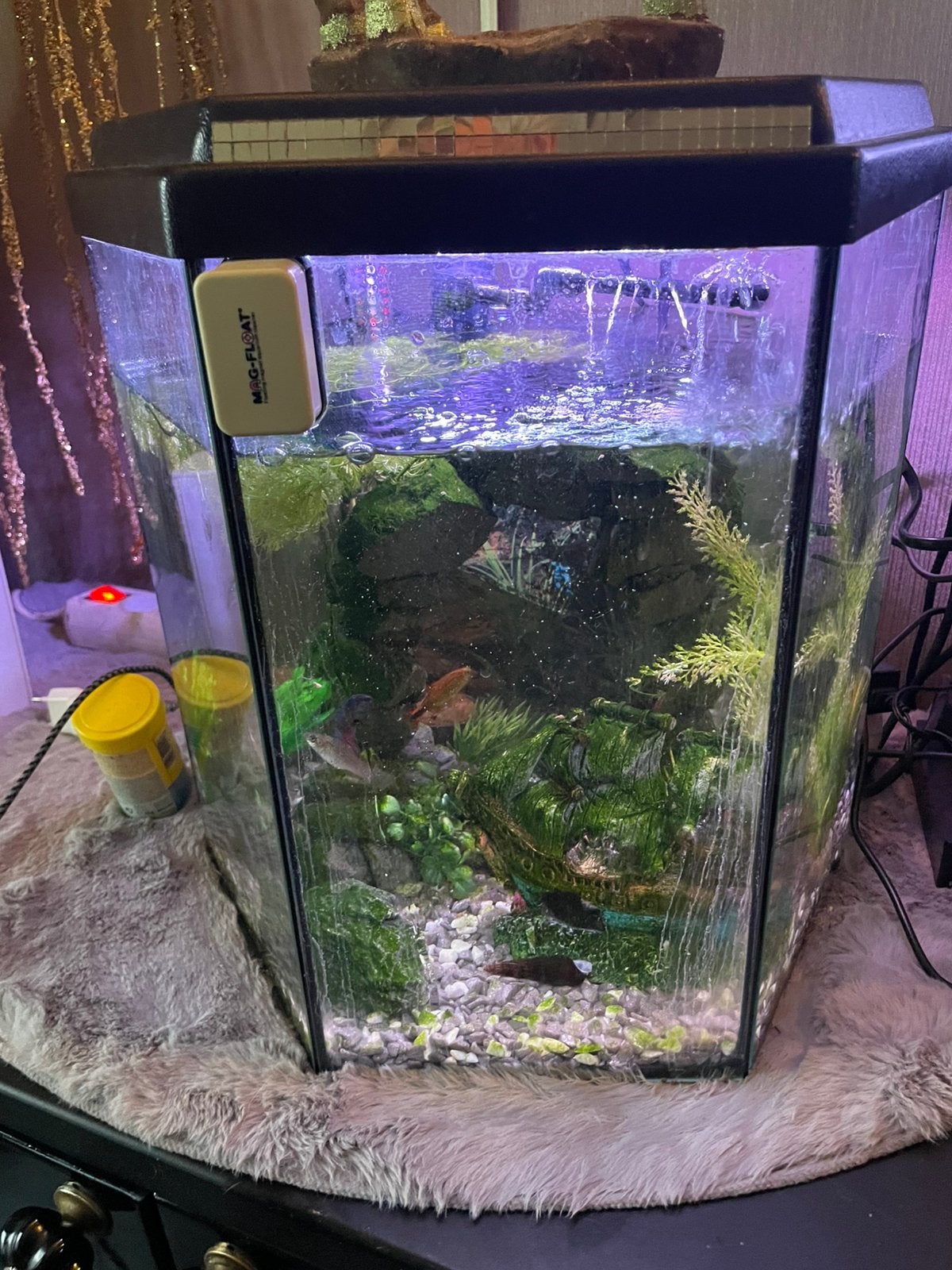 Mooi aquarium, Dieren en Toebehoren, Ophalen of Verzenden, Zo goed als nieuw, Gevuld zoetwateraquarium