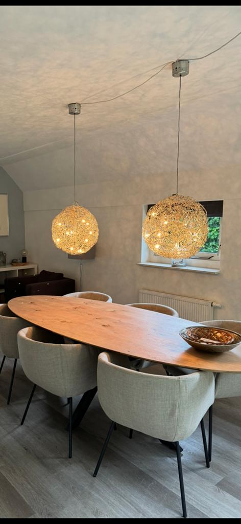 Catellani & Smith Fil de Fer - set van 2 design hanglampen, Ophalen, Gebruikt, Metaal, Minder dan 50 cm