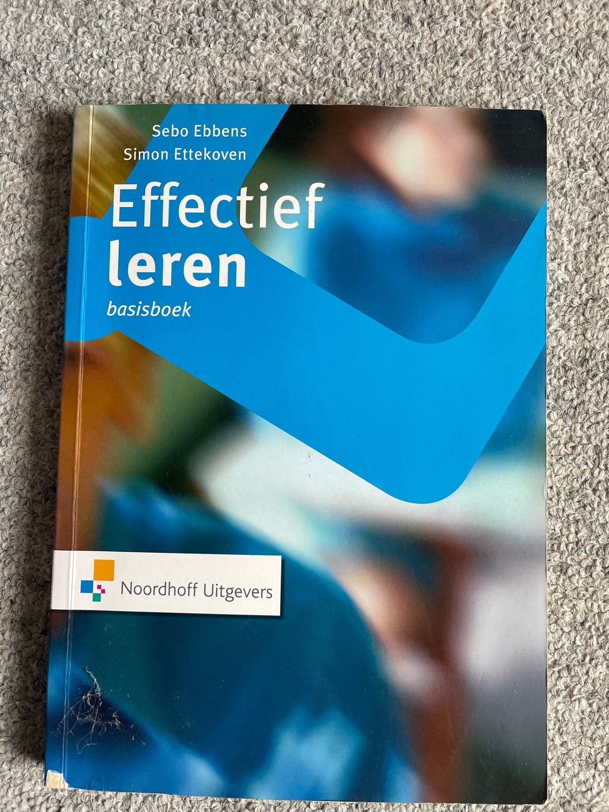 Effectief leren: basisboek (Sebo Ebbens, Simon Ettekoven), Boeken, Ophalen of Verzenden, Gamma, Zo goed als nieuw, HBO