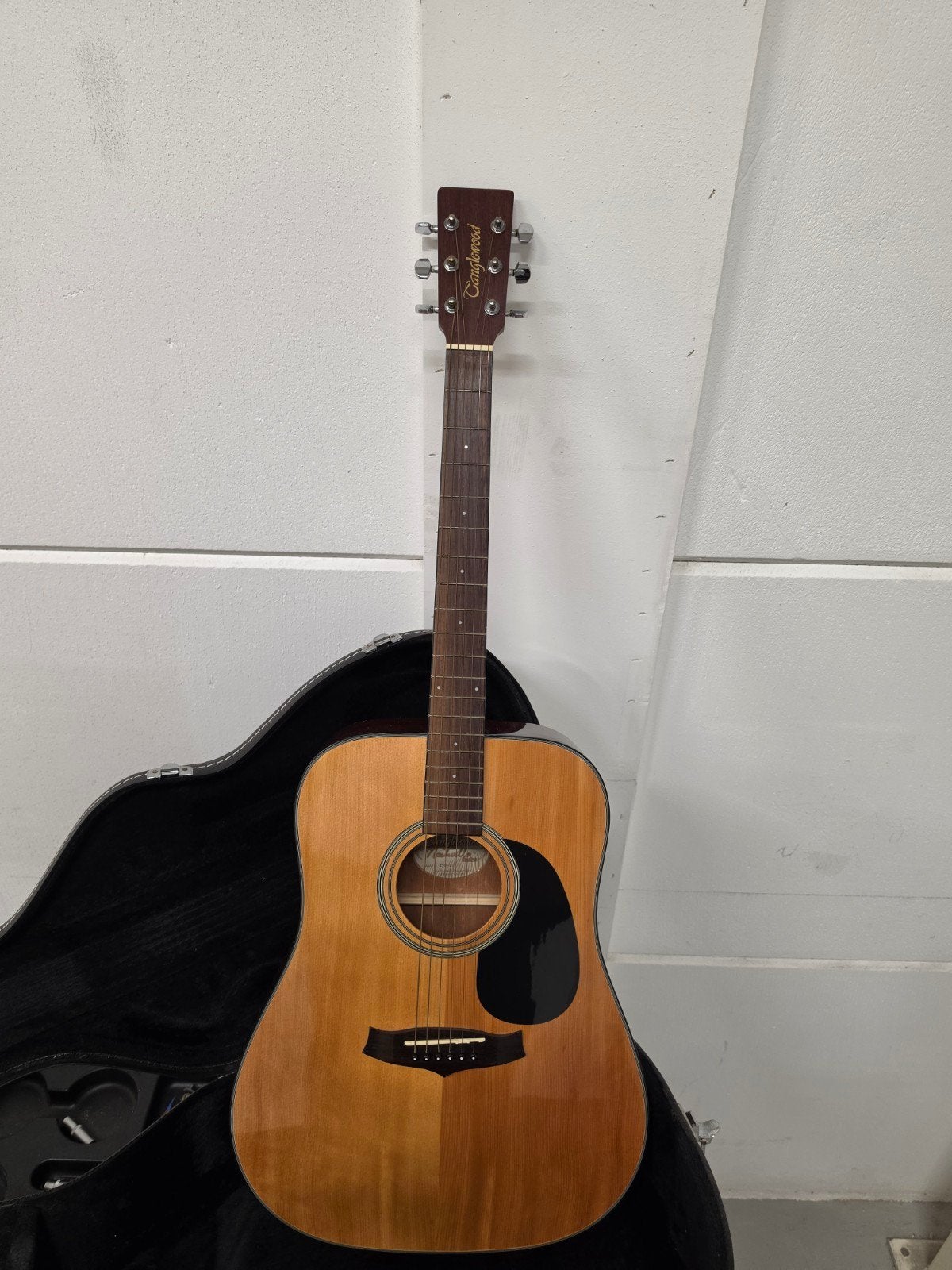 Tanglewood TD8-ST Westerngitaar met koffer, Muziek en Instrumenten, Ophalen, Gebruikt, Western- of Steelstringgitaar, Met koffer