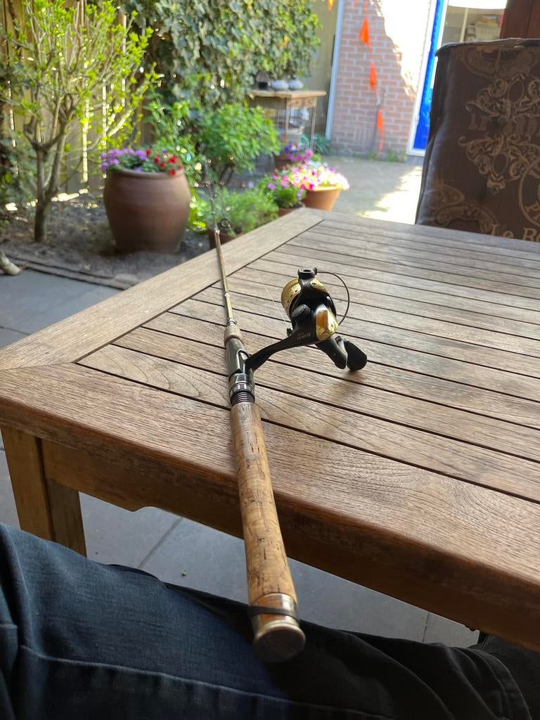 Spinhengel compleet, Watersport en Boten, Ophalen, Gebruikt, Complete hengel