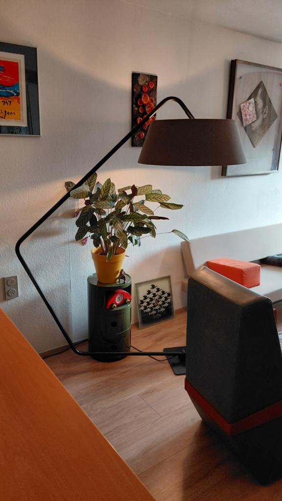 Ligne Roset Bul Vloerlamp, Ophalen, Gebruikt