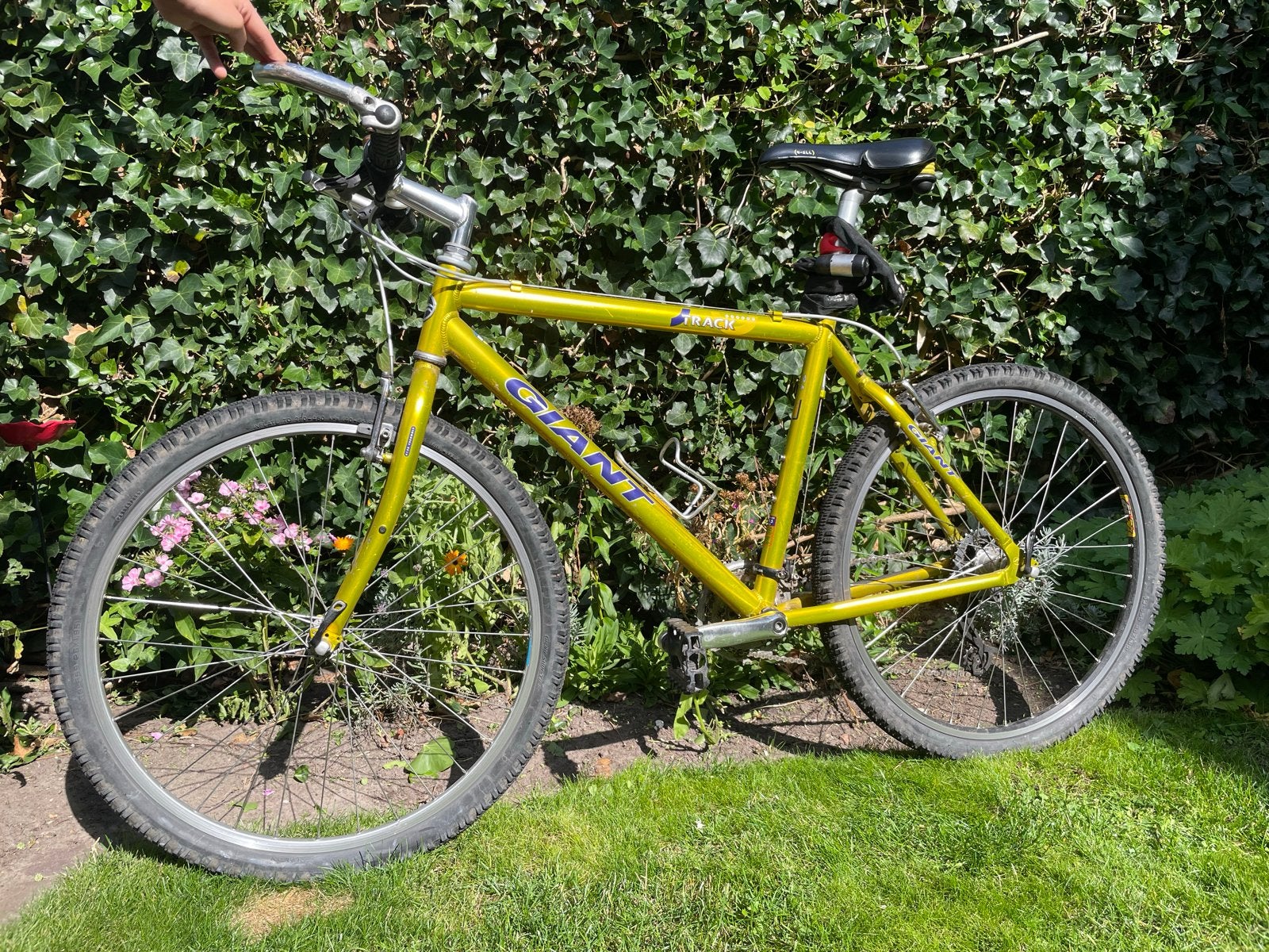 Giant Track Mountainbike - 19.5 inch frame, Ophalen, Gebruikt, 49 tot 53 cm, Giant