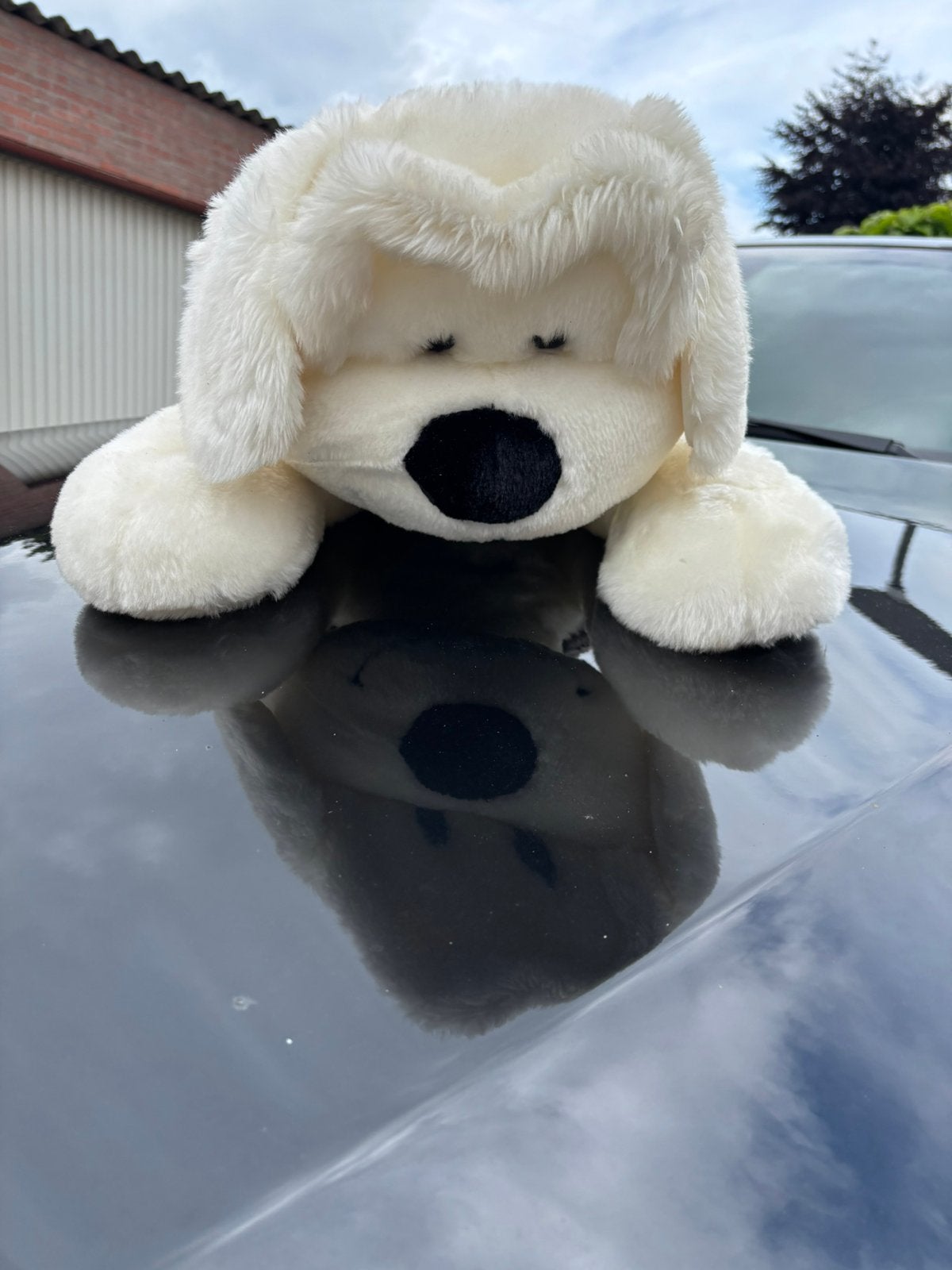 SAMSON Grote zachte knuffelhond, wit met grijs, Overige merken, Hond, Middelgroot (20 tot 80 cm), Wit