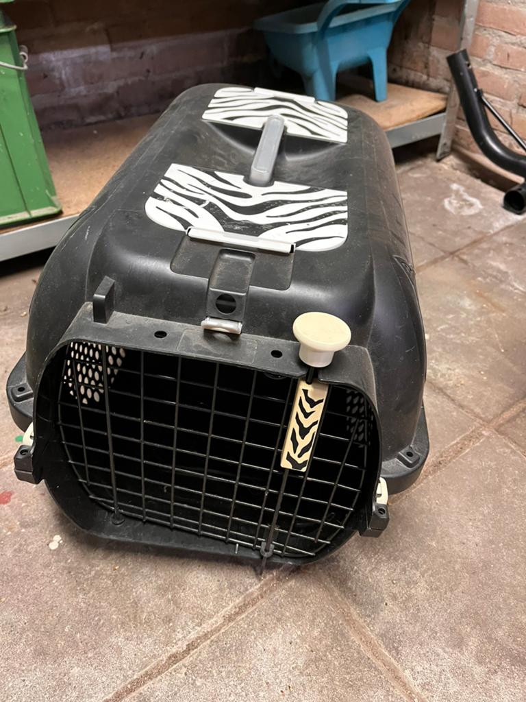 Katten reismand, Dieren en Toebehoren, Ophalen, Zo goed als nieuw