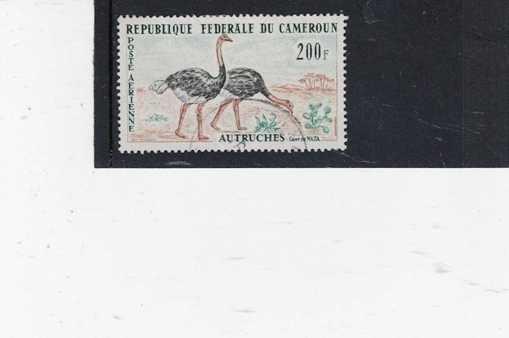 vogel Kameroen, Ophalen of Verzenden, Gestempeld, Dier of Natuur