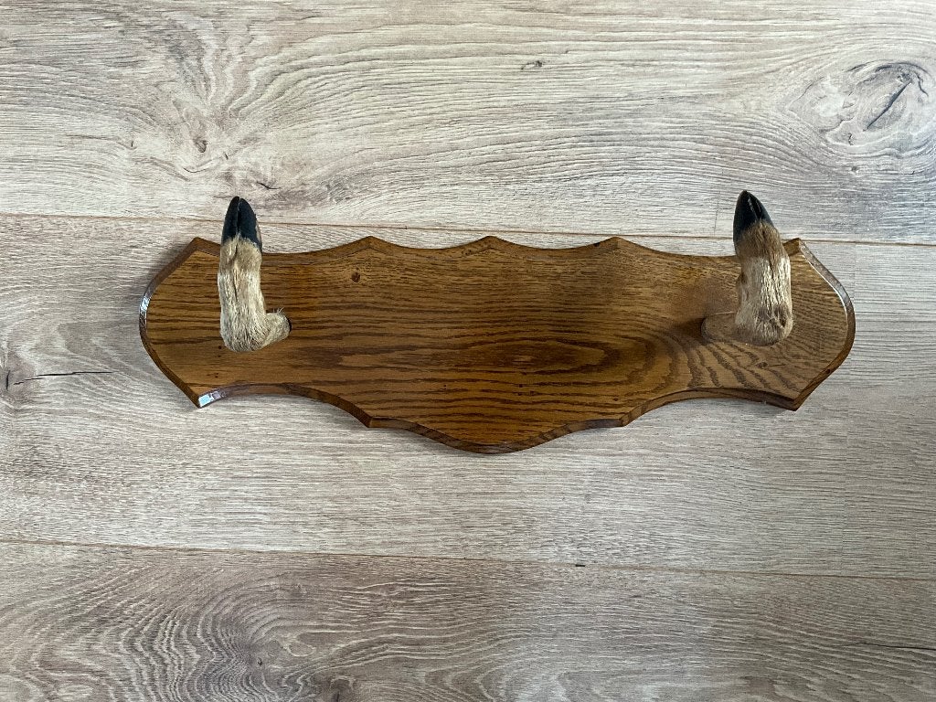 Fraai geweerrek voor wandmontage, Ophalen of Verzenden