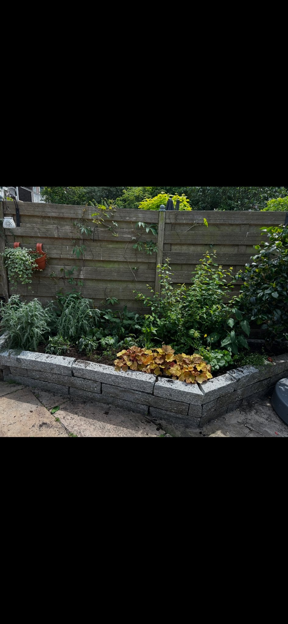 Gratis! Granieten borderstenen voor tuin of plantenbak, Tuin en Terras, Bielzen en Borders, Ophalen, Gebruikt, Natuursteen, Border