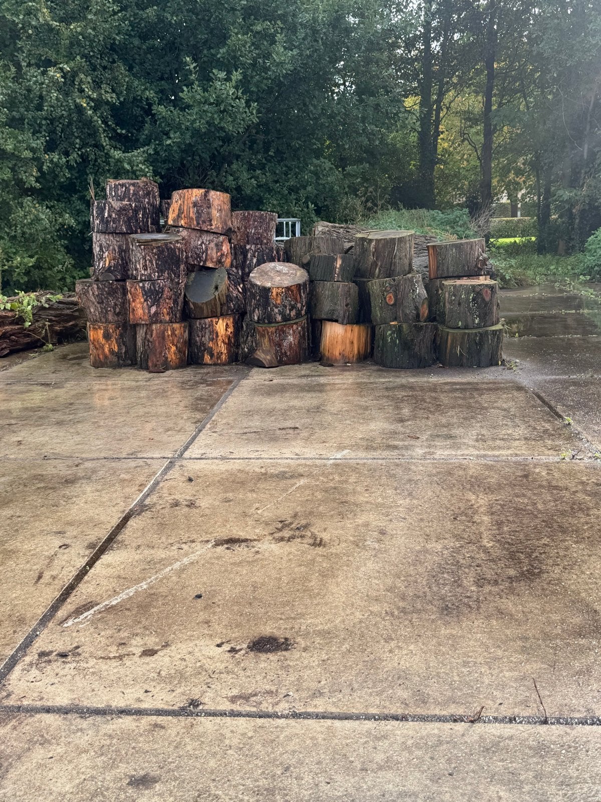 Brandhout - Diverse houtsoorten, Tuin en Terras, 3 tot 6 m³, Ophalen, Overige houtsoorten, Blokken