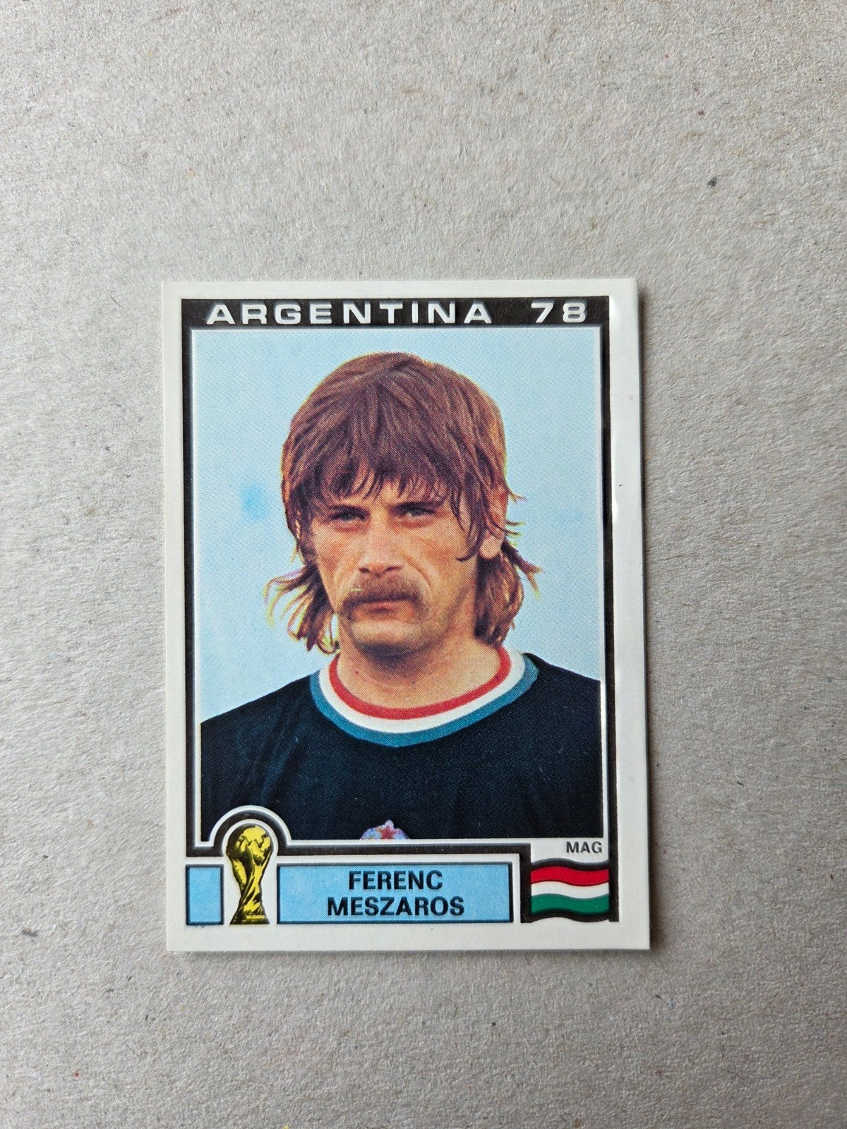Panini WK 78, Ophalen of Verzenden, Zo goed als nieuw, Sticker