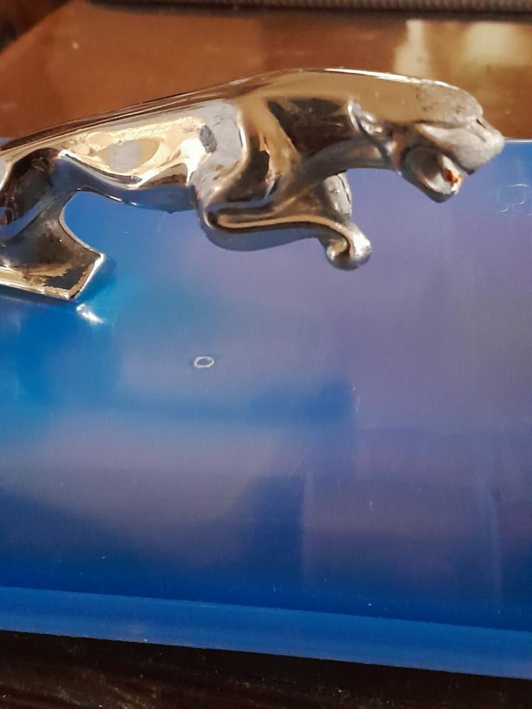 jaguar, Ophalen of Verzenden, Gebruikt