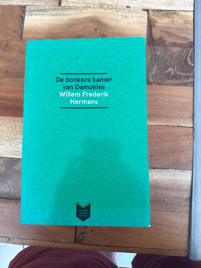 De donkere kamer van Damokles - W.F. Hermans (Gelezen), Boeken, Ophalen of Verzenden, Gelezen, Nederland