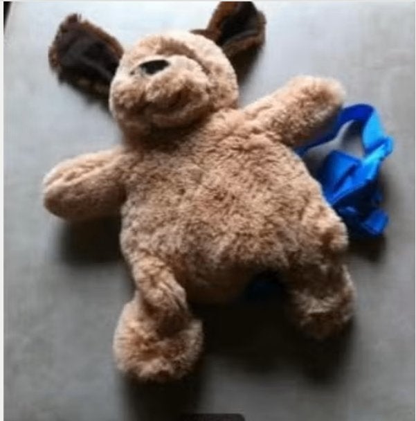Een schattige puppy rugzak met 2 in 1 functi, Ophalen of Verzenden, Zo goed als nieuw, Overige merken