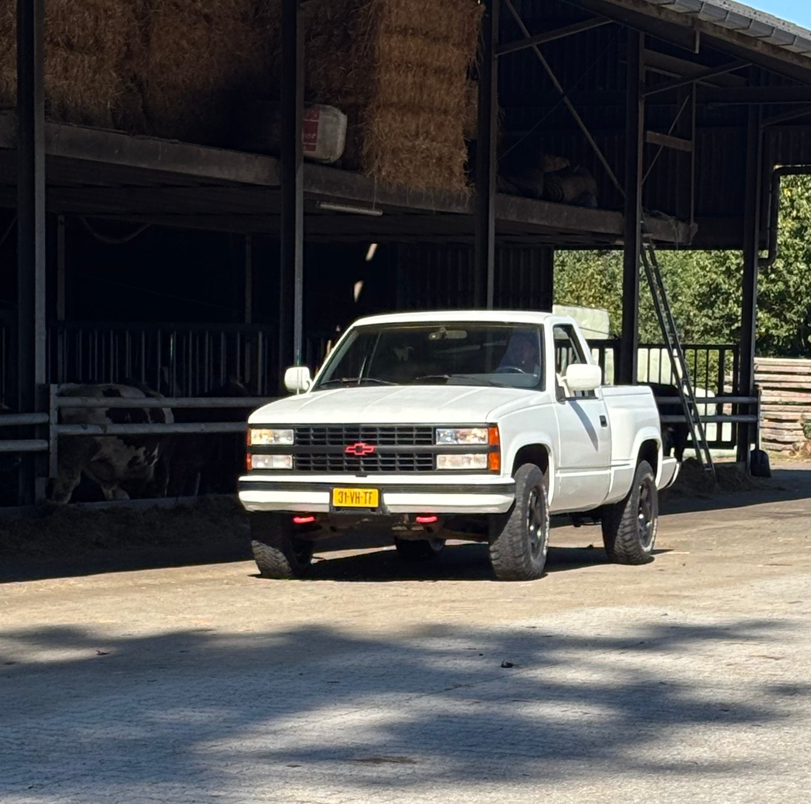 Chevrolet K1500, Automaat, 8 cilinders, Chevrolet, Wit