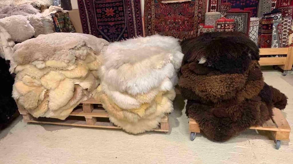 Originele grotere Schapenvachten xxl 35 euro