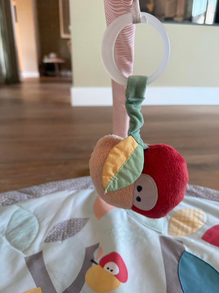 Babygym Skip Hop, Kinderen en Baby's, Speelgoed | Babyspeelgoed, Ophalen of Verzenden, Gebruikt, Babygym