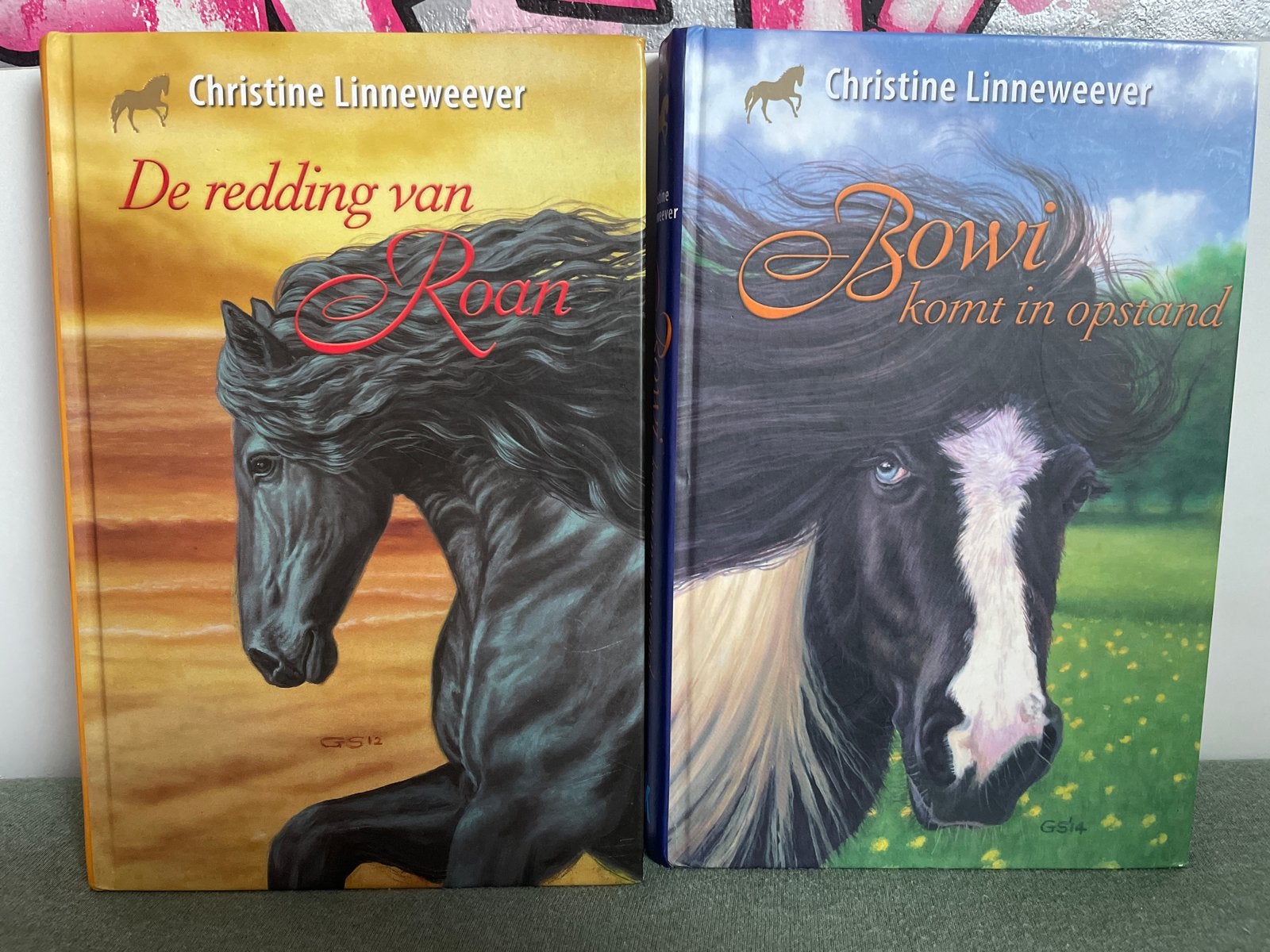Christine Linneweever - De redding van Roan & Bowi komt in o, Ophalen, Zo goed als nieuw, Fictie algemeen