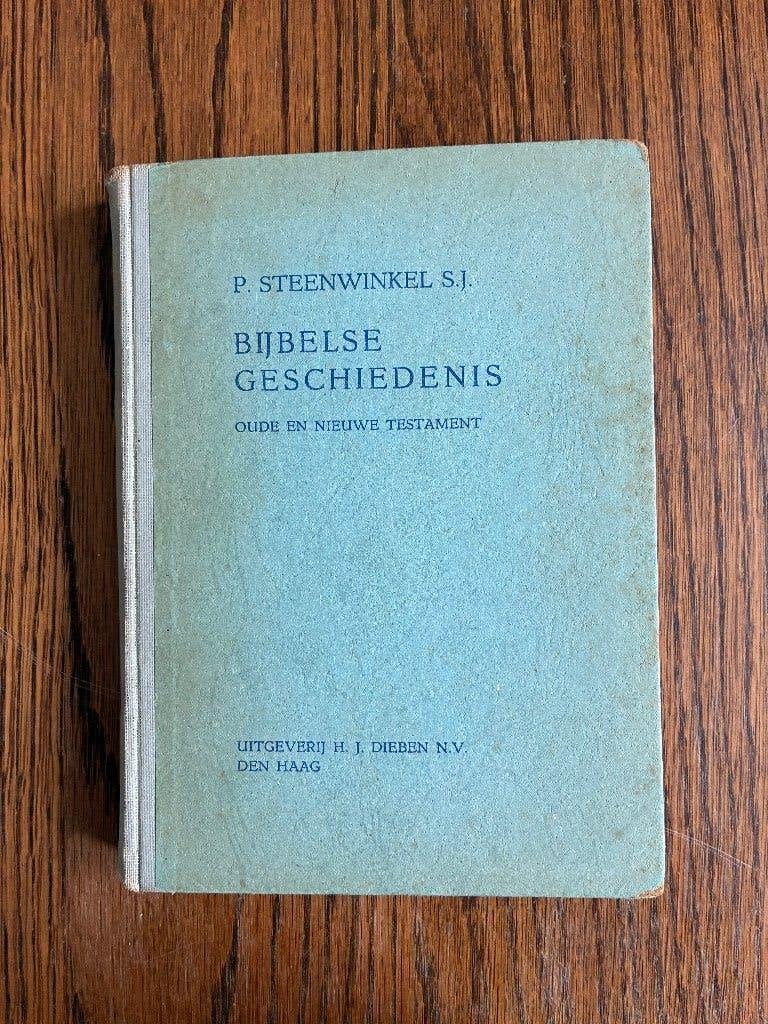 Bijbelse geschiedenis	P.Steenwinkel S.J.			1956, Boeken, Ophalen of Verzenden, P.Steenwinkel S.J.  