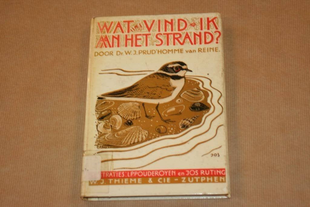 Wat vind ik aan het strand? - Excursieboek Noordzeekust 1963, Boeken, Natuur, Ophalen of Verzenden, Gelezen