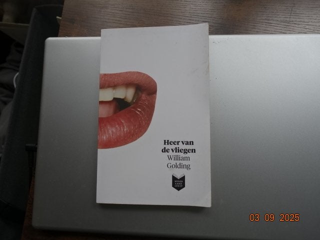 Heer van de vliegen......William Golding, Boeken, Ophalen of Verzenden, Zo goed als nieuw, Amerika
