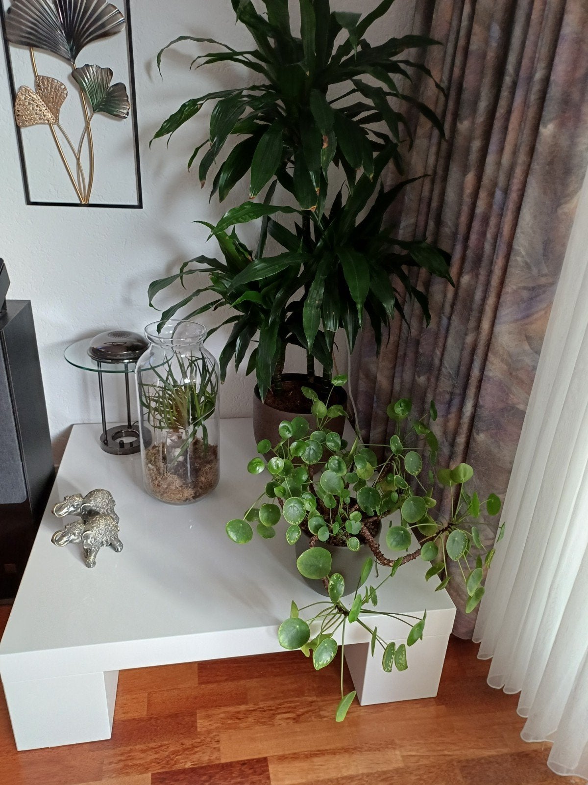 plantentafel wit, Ophalen, 50 tot 100 cm, Rond, 50 tot 100 cm