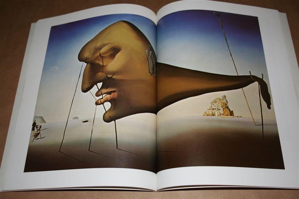 Salvador Dalí – Rijk geïllustreerd overzichtswerk, Ophalen of Verzenden, Zo goed als nieuw