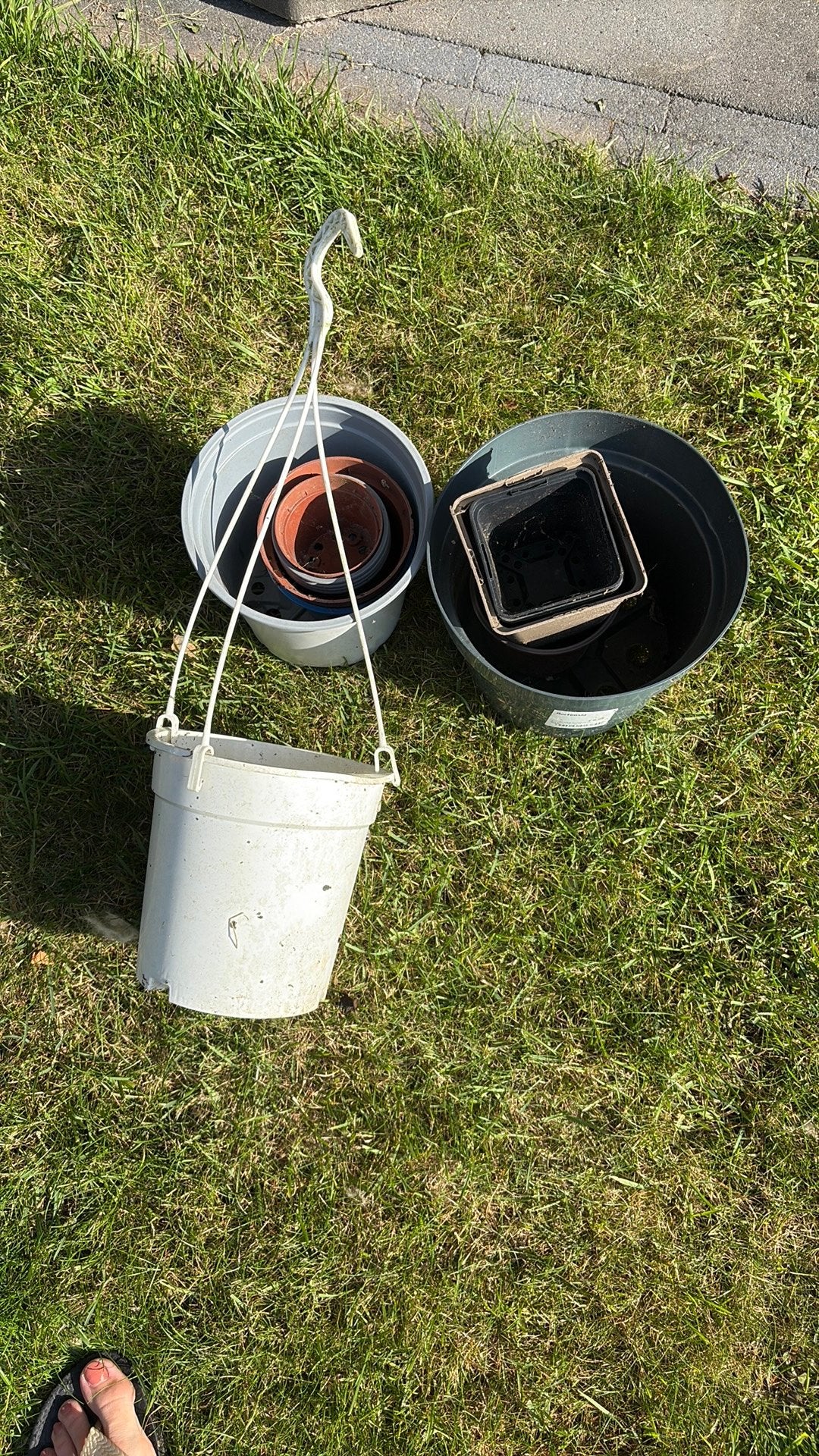 Gratis bakjes ong 30 stuks, Tuin en Terras, Ophalen of Verzenden, Gebruikt, Kunststof, Overige typen