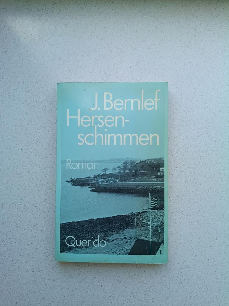 Hersenschimmen - J. Bernlef, Boeken, Ophalen of Verzenden, Gelezen