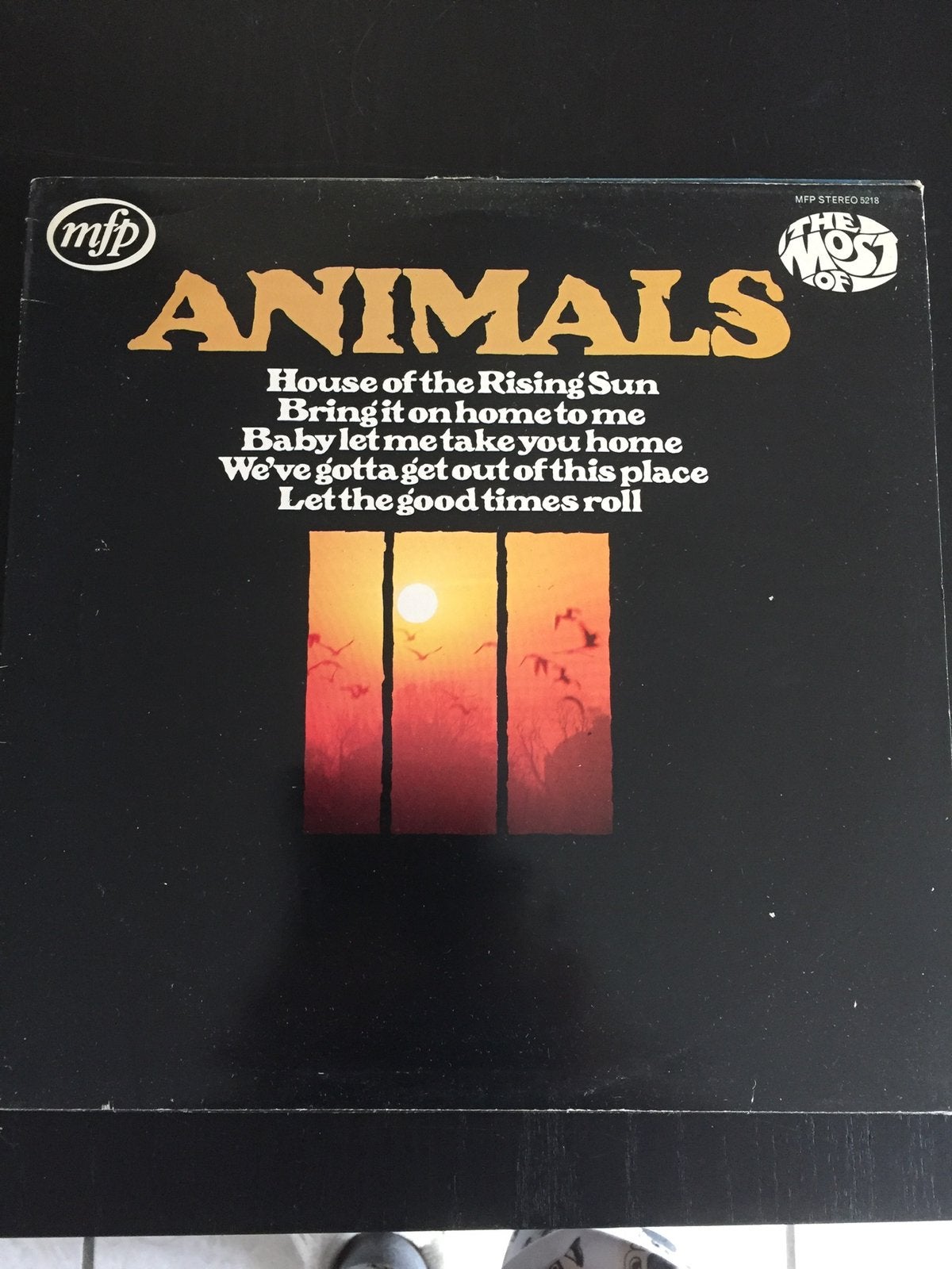 Animals, Ophalen, Overige formaten, Overige typen, Zo goed als nieuw