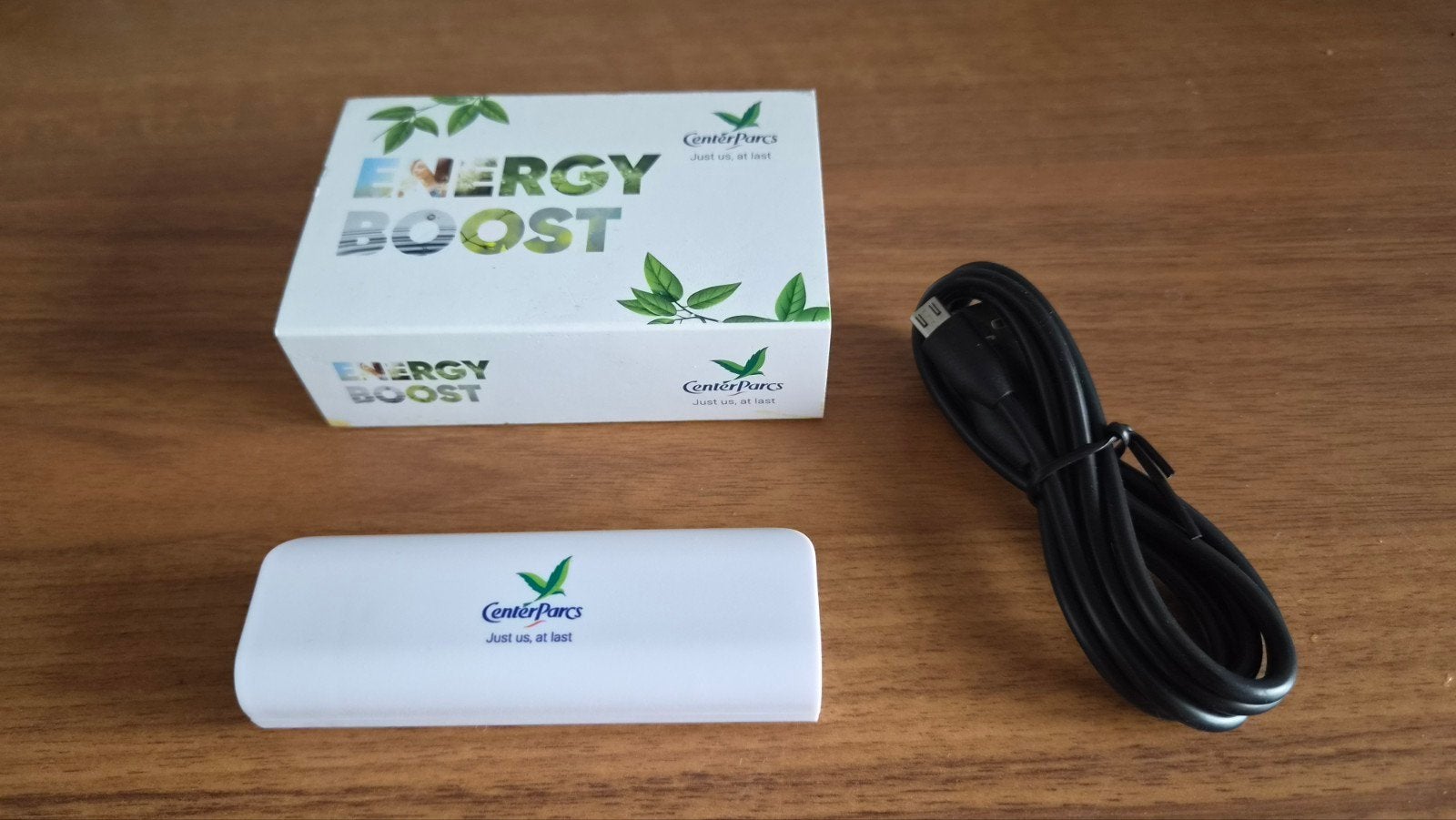 Center Parcs Energy Boost Powerbank met kabel en doosje, Ophalen of Verzenden, Nieuw, Center Parcs