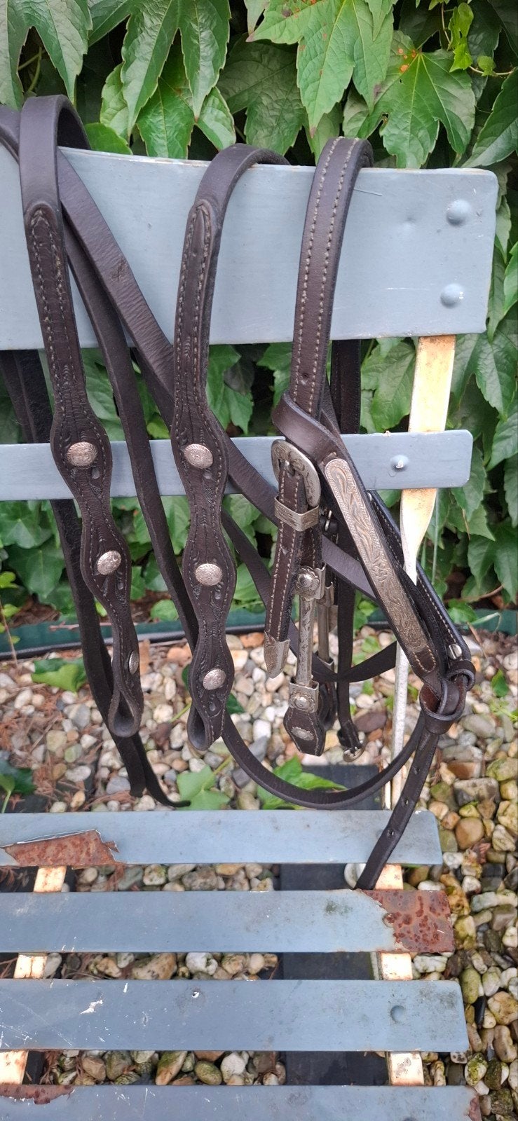 Western hoofdstel inclusief openteugels, Dieren en Toebehoren, Paarden en Pony's | Hoofdstellen en Tuigage, Ophalen of Verzenden