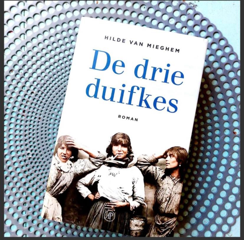 De drie duifkes - Hilde van Mieghem. Ongelezen, Ophalen of Verzenden, Zo goed als nieuw